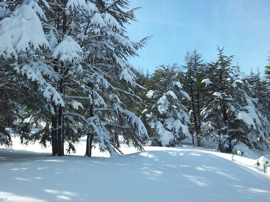 photo by Lina (Lebanon)